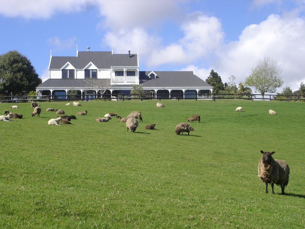 Country Homestead At Black Sheep Farm Waipu Exterior photo